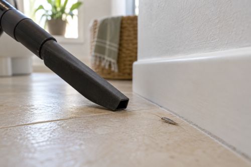 Limpieza con aspiradora junto al rodapié para combatir los pececillos de plata en casa